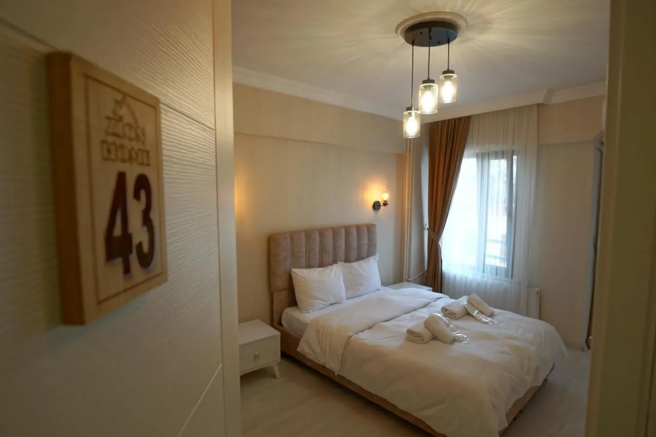 Zion Home Butik Otel Istanbulská provincie 2*,