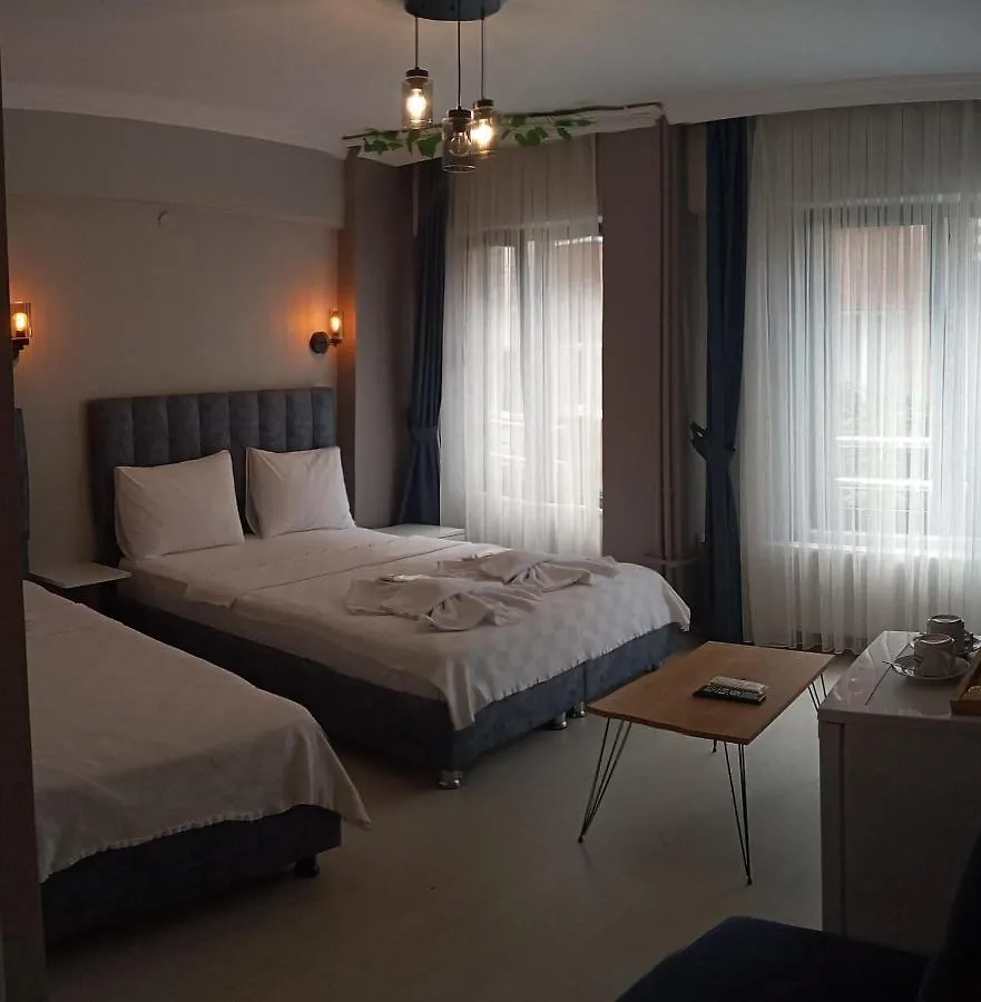 Zion Home Butik Otel Istanbulská provincie 2*,  Turecko